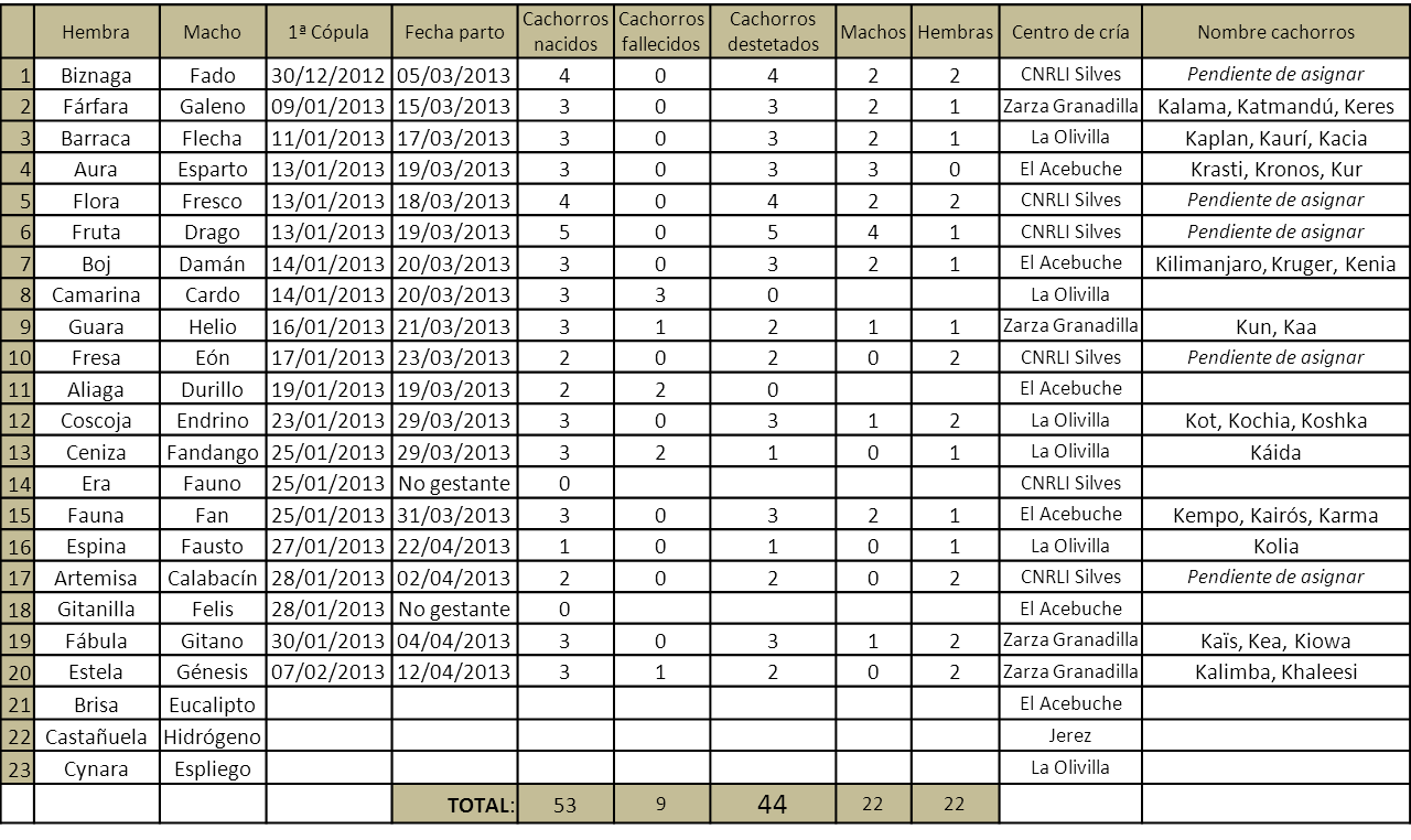 Temporada 2013 PCELI